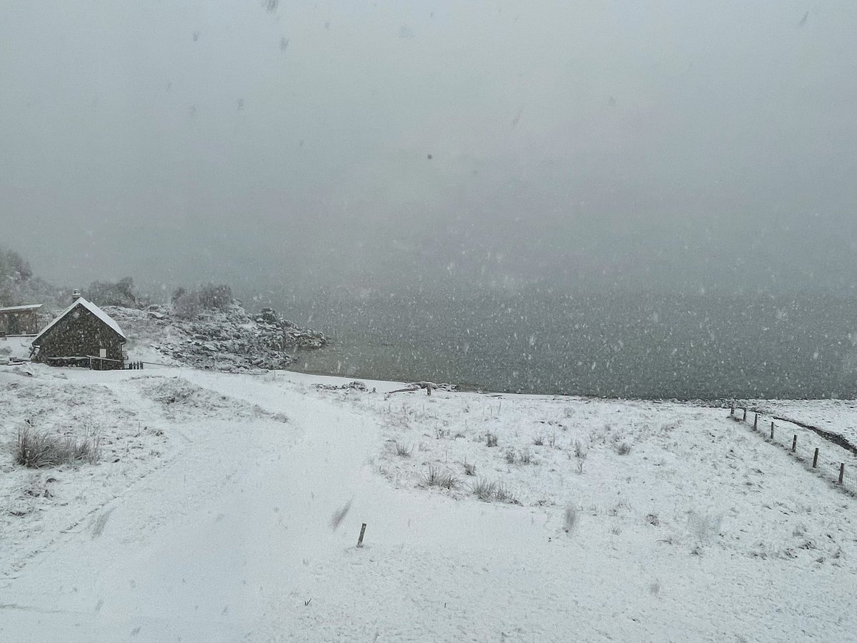 Jane Rushton tweet media