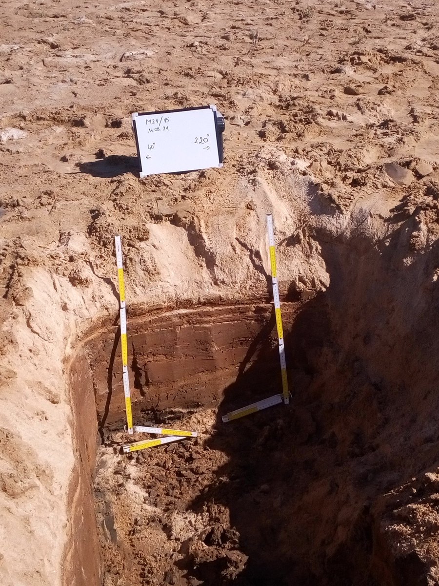 Witold Szczuciński tweet media