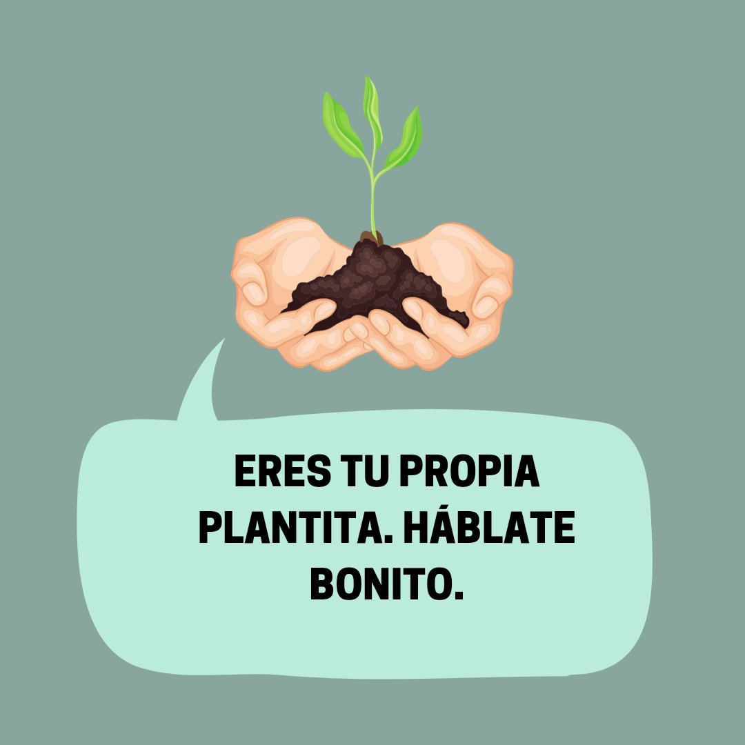 Pensamiento Positivo (@citapositiva) on Twitter photo 