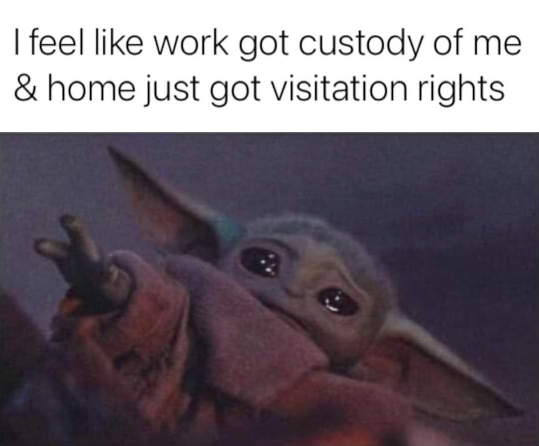 TheRedPrincess tweet media