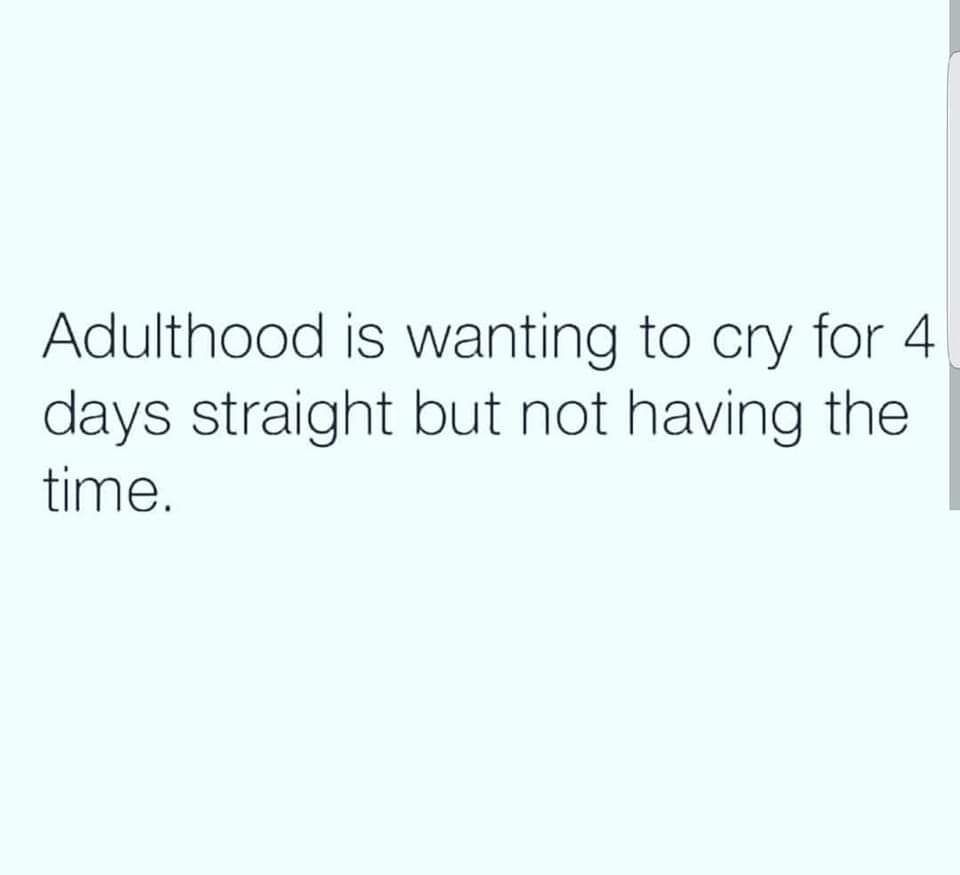 TheRedPrincess tweet media