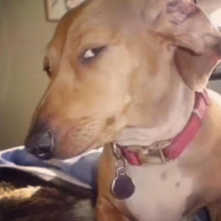 nrft 🔆 tweet media