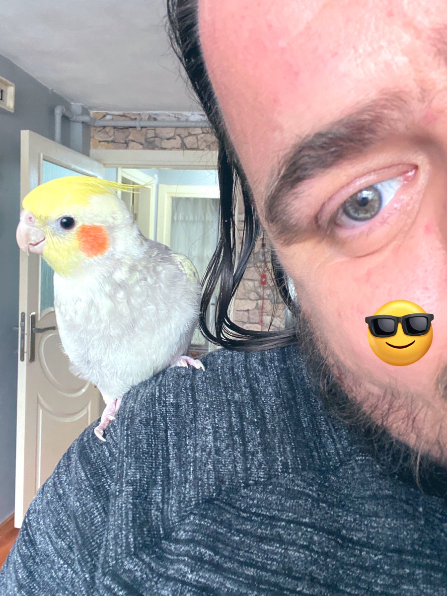 MuTuaLiST/Cem ELMAS©️ tweet media