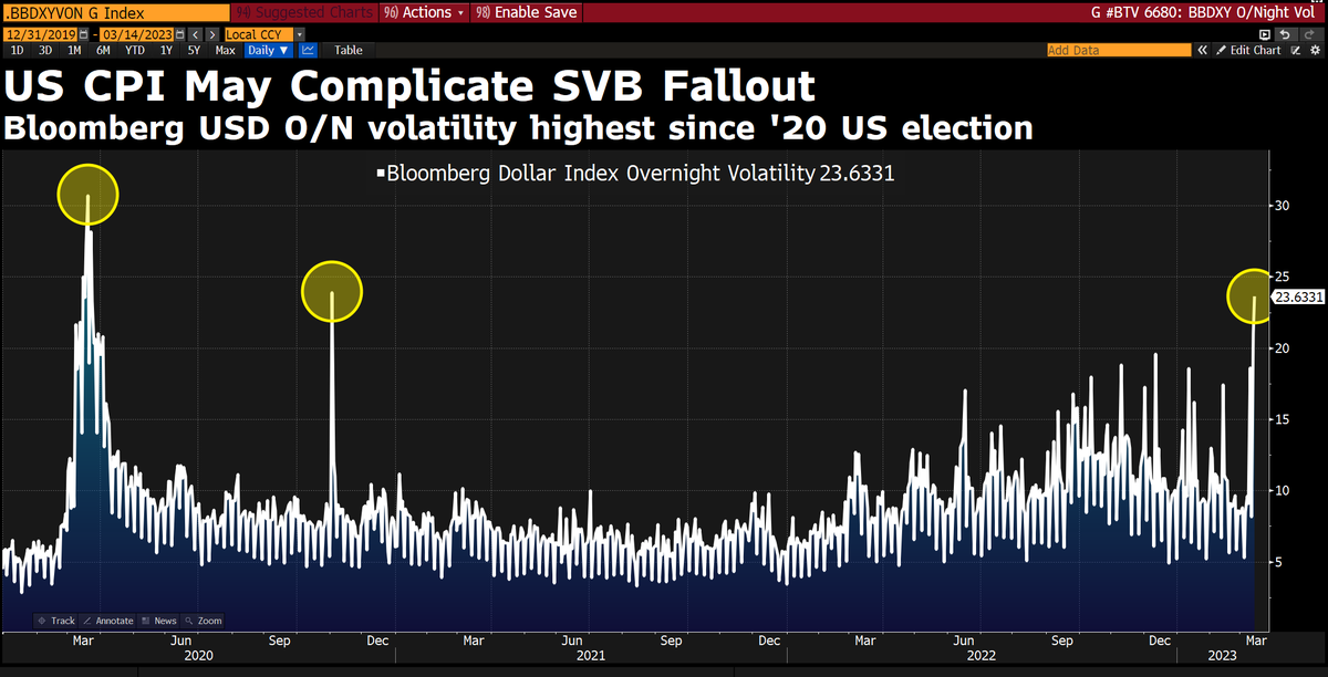 Daniel Curtis tweet media