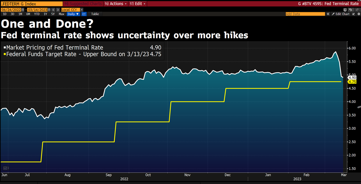 Daniel Curtis tweet media