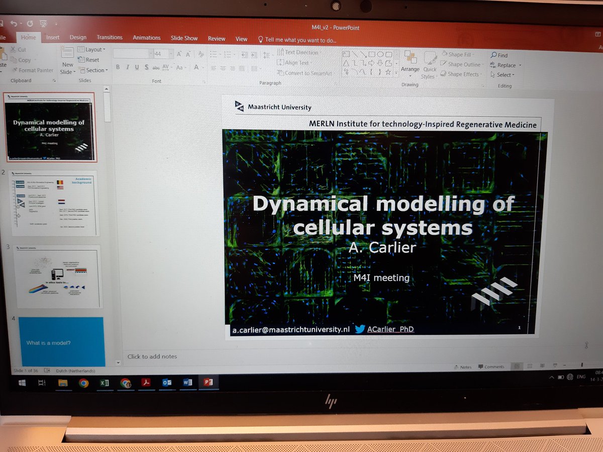 Finalizing my slides for my talk today at M4I (Maastricht MultiModal Molecular Imaging Institute)! Looking forward to some nice discussions & potential collaborations to strengthen the link with @MERLN_UM! Thank you @Cillero_Lab for inviting me!