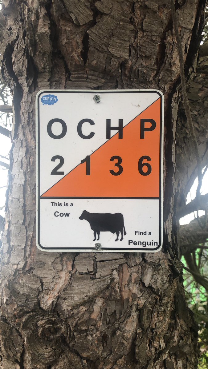 It’s pi day!!!! I wonder how many digits of pi people can find using the <a href="/enrichedu/">Enrich Education</a> control points!!! #piday #22over7 #3point14…