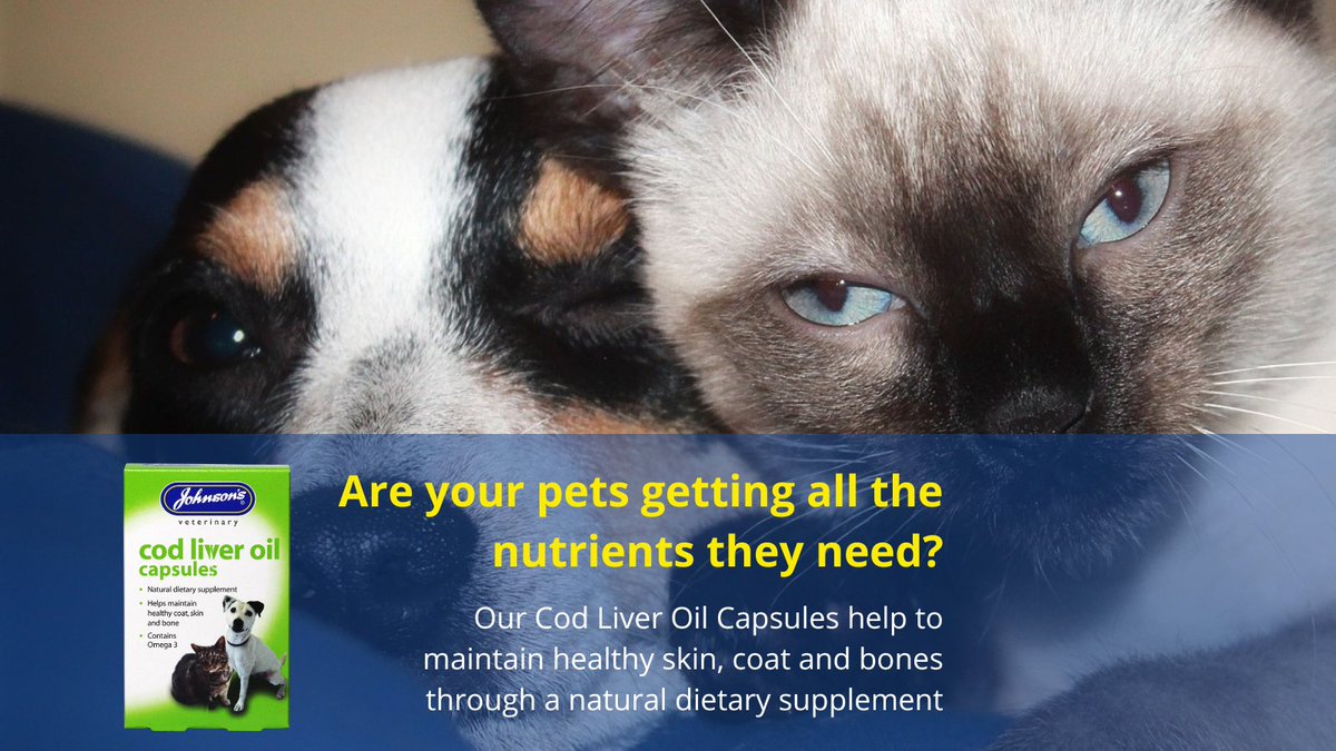 JohnsonsVet's tweet image. Treat your #pet to our #CodLiverOil Capsules to ensure they’re getting all the nutrients they need to thrive. This natural dietary supplement helps to maintain healthy skin, fur and bones for both cats and dogs johnsons-vet.com/shop/s020-cod-…