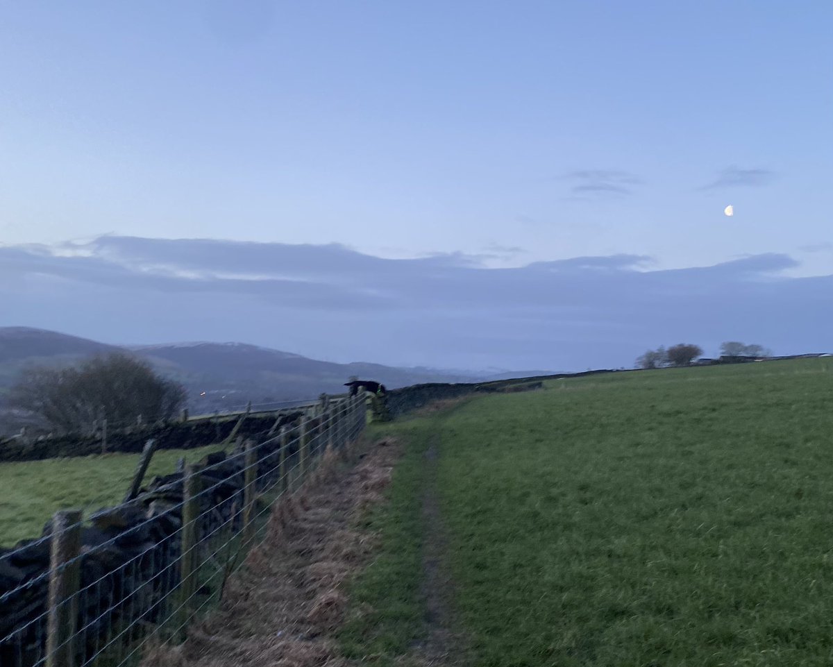andyb066's tweet photo. Morning @runningpunks Some more muddy miles training but just walking with the beastie boy. Had a reaction from the knee to the weekends treadmill effort. Feeling tender, some minor pain, so no return to running just yet ๐ซ๐ซ #runningpunks #runningpunk #brokenpunk https://t.co/yHgXhJ9SQ3
