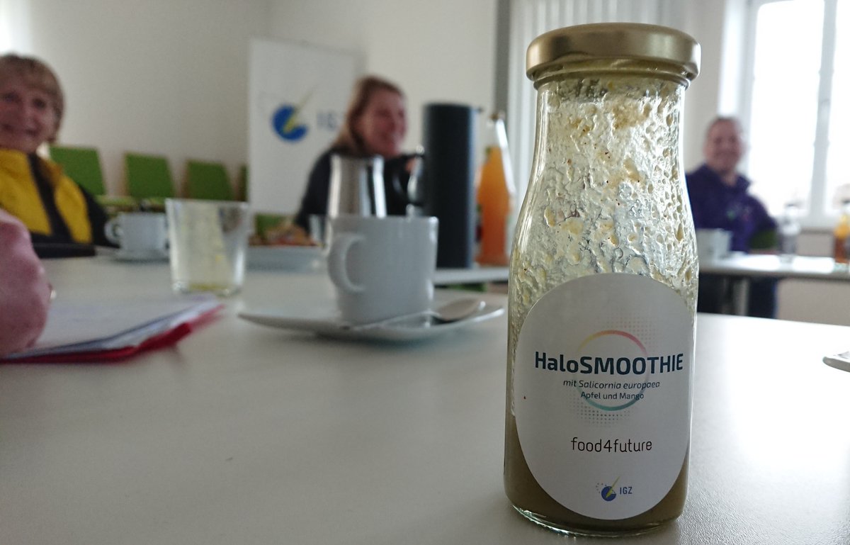 ClusterErWi's tweet photo. Gestern fand das erste von zwei Fokusgruppengesprächen zwischen dem Projekt @food4future1 und Unternehmen der #Ernährungswirtschaft #Brandenburg statt. Gemeinsam wurde diskutiert, wie auf Basis der Erkenntnisse der Wissenschaftler neue Lebensmittel entwickelt werden können. https://t.co/WYVMsfl0Ct