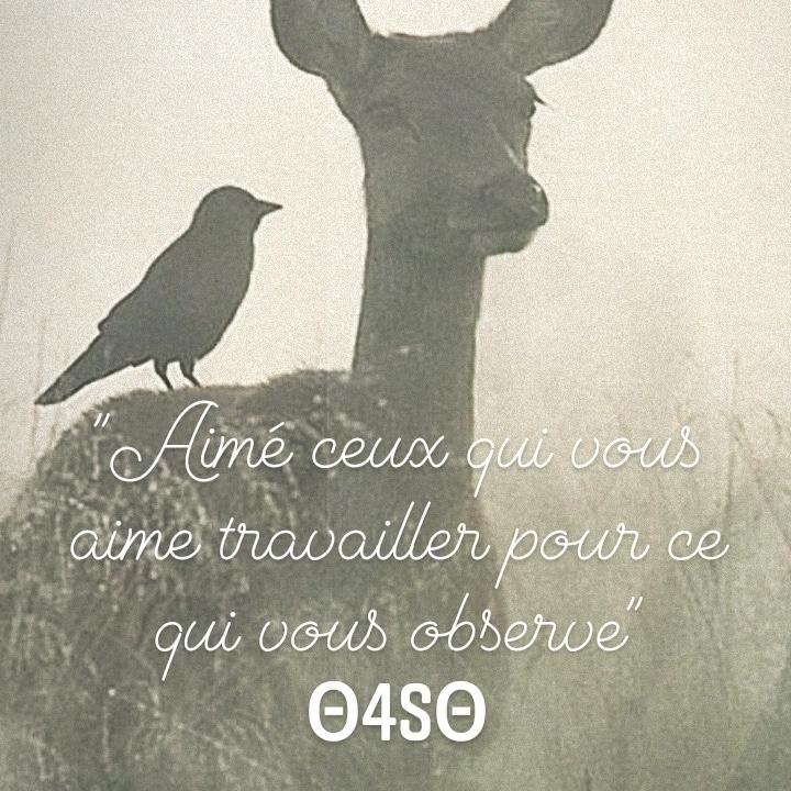 Schweiley klyvensley Simeon (@schweiley) on Twitter photo 
