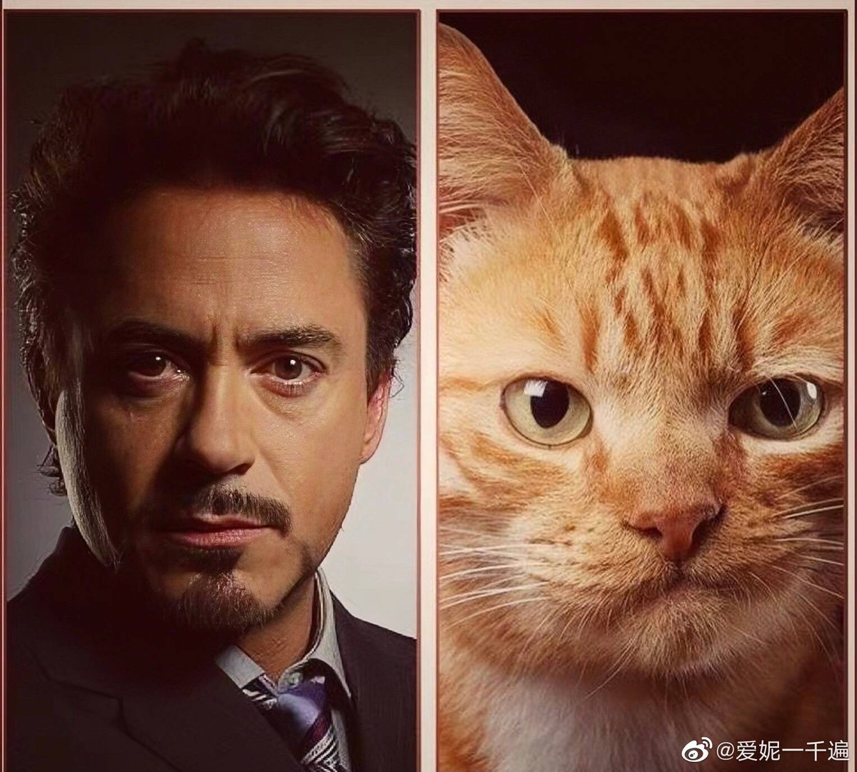 MY SWEET RDJ ! 🇹🇭 on Twitter: