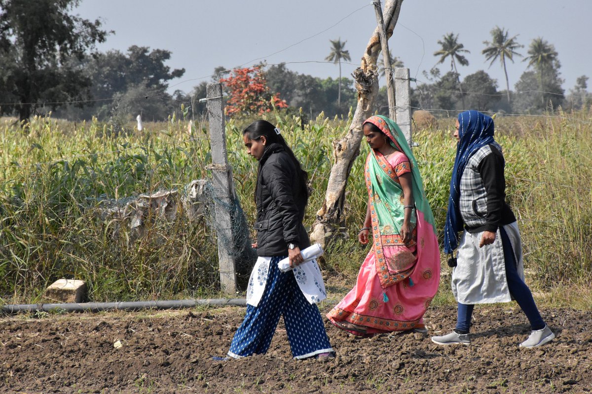 InfoGujarat's tweet photo. ગીર-સોમનાથ જિલ્લાના ખેડૂત ભાયાભાઈ ચારણીયા અન્ય ખેડૂતો માટે બન્યા પ્રેરણાસ્ત્રોત..

#Farmers #Gujarat #agriculture https://t.co/CR8KRV9SZp