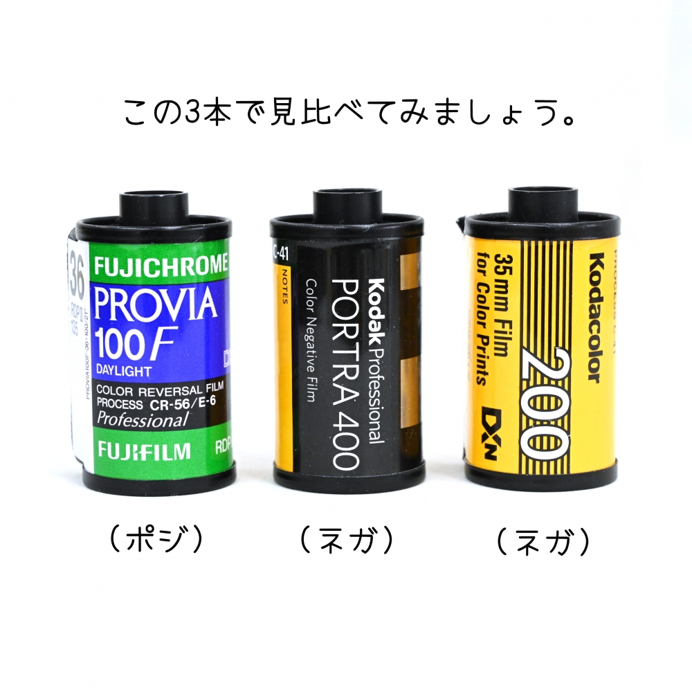 リバーサルフィルムのラティチュード、±0.5と超厳しいので、逆光と明暗差にはめっぽう弱い_(:З｣∠)_…だけど好き…  