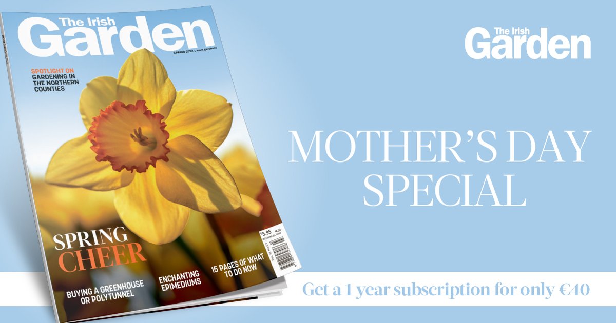 Give the gift of The Irish Garden and plant a smile on Mother's day, the perfect gift is just a click away! 💐 Mother's Day special: 12-month home delivery subscription for just €40.00 ⬇️ eu1.hubs.ly/H034Z6z0