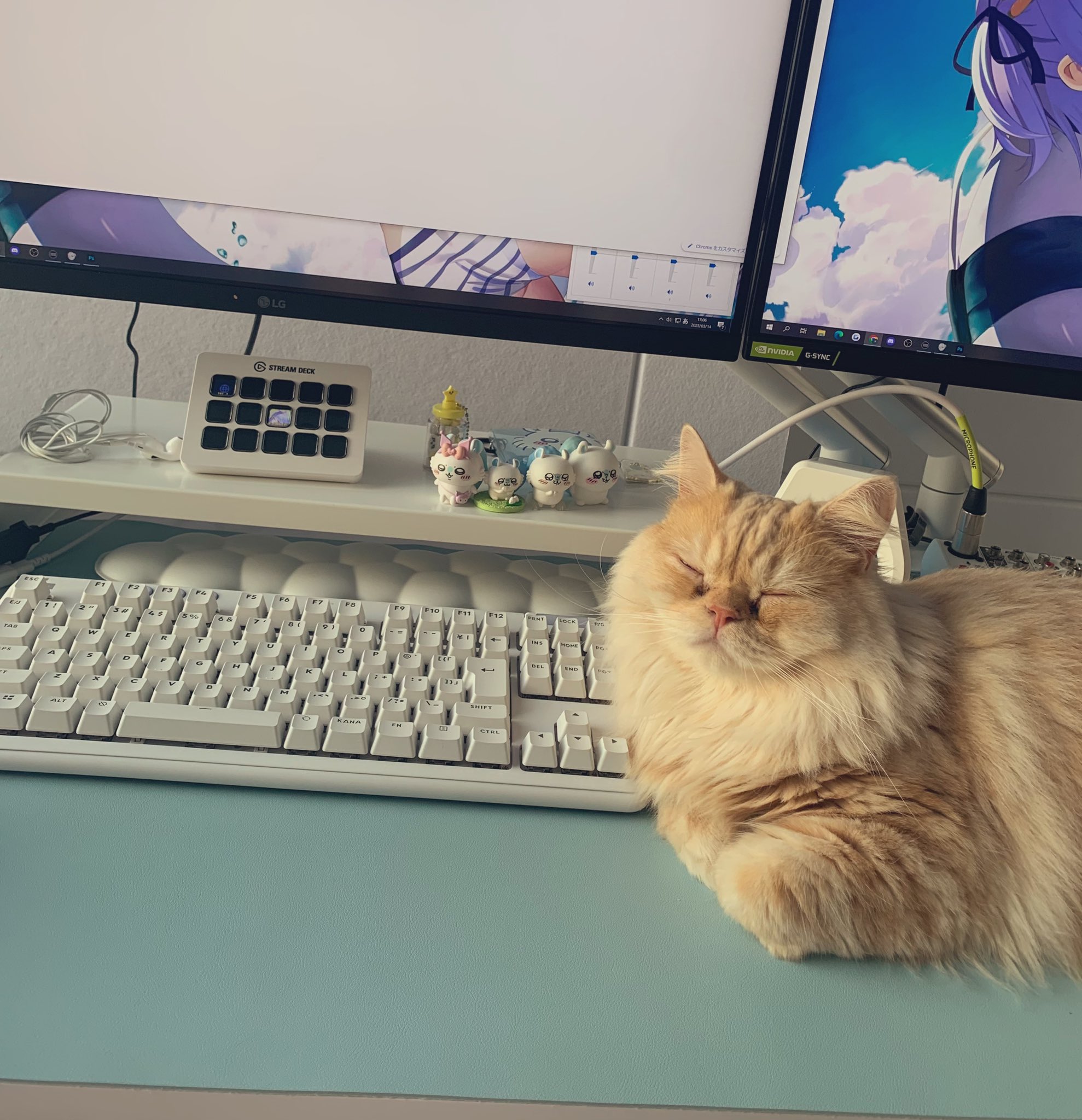 [閒聊] 兔田佩克拉的桌子