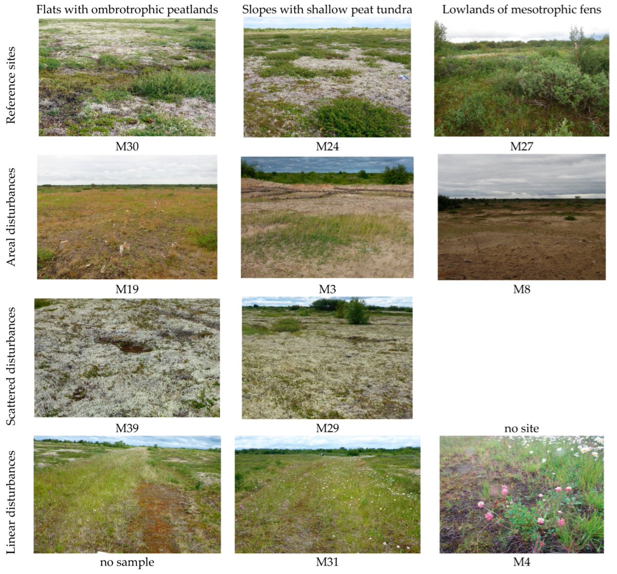 DiversityMDPI's tweet photo. #DiversityMDPI, Read our new published paper "Microbial Communities of Peaty Permafrost #Tundra #Soils along the Gradient of Environmental Conditions and Anthropogenic Disturbance in Pechora River Delta in the Eastern European Arctic" 
Find more details at https://t.co/53giyWoRdv https://t.co/8EpSI6Yd5R