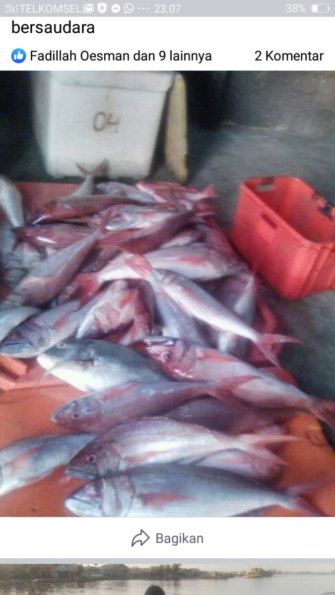 JuniarisJ's tweet photo. Selasa (30/01), Jumaris, Luhkan Kab Simeulue, di KUB Samo Safakat DS Kota Batu, melaporkan tangkapan ikan, alat tangkap pancing ulur, bulan Januari 2023, sebanyak 1300 kg, harga jual 25000/kg. #GiatluhkanSatminkalMedan #Simeulue #Tangkap https://t.co/WVaGvp9tWF