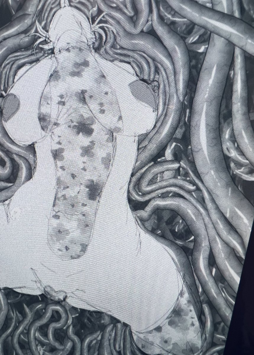 執筆中、春角由愛敗北肉壁埋め込みイラスト😈のラフ!
エクストラのシーン等とも違う、こちらは『敗北シリーズ』の春角由愛イラスト!
触手に完全敗北し、埋め込まれた模様!
この絵は夜縛単行本6巻巻頭カラーをリスペクトし、また、単行本9巻表紙カラーのえちえち衣装を纏っての敗北をイメージ!