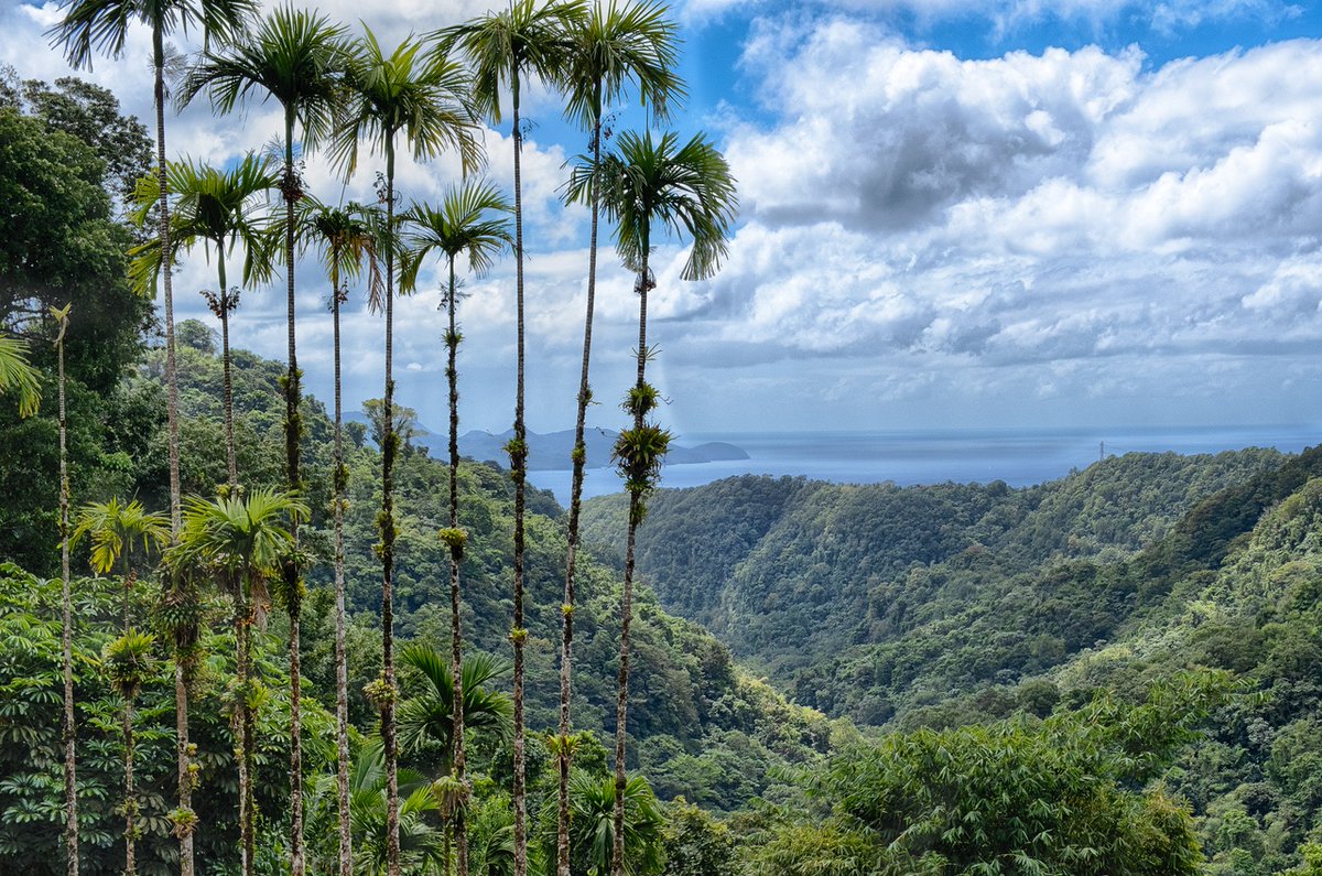 Point Photography tweet media