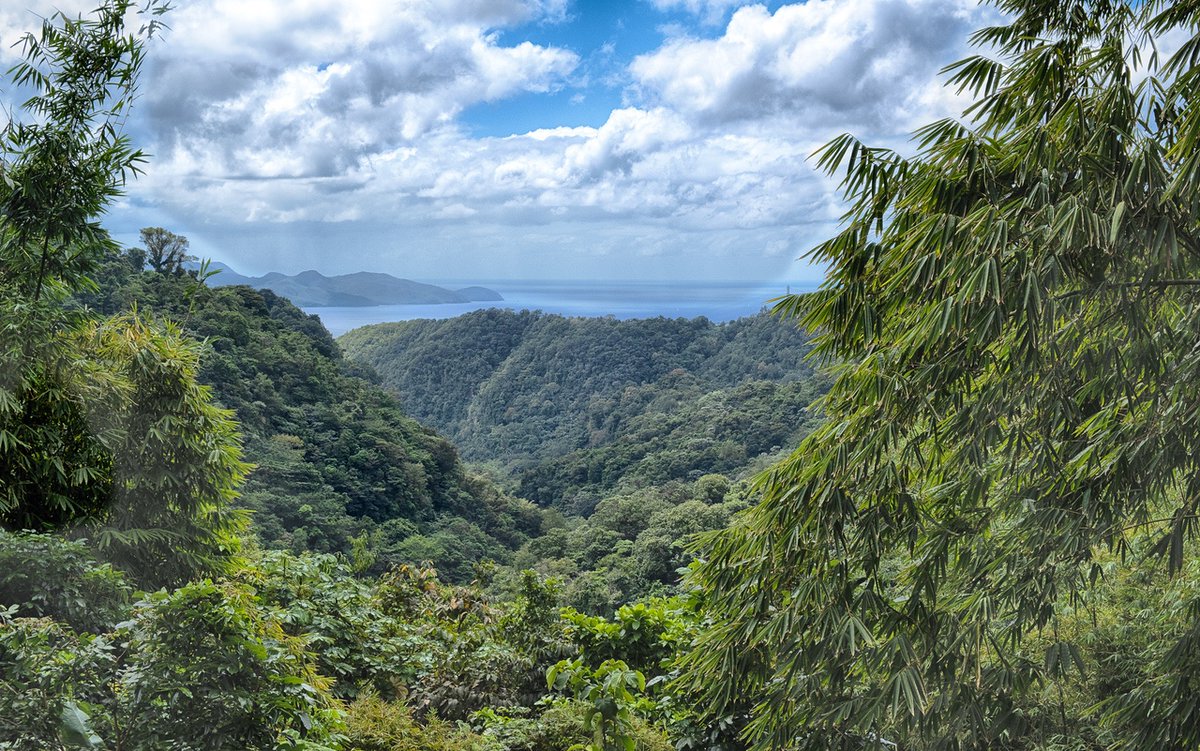 Point Photography tweet media