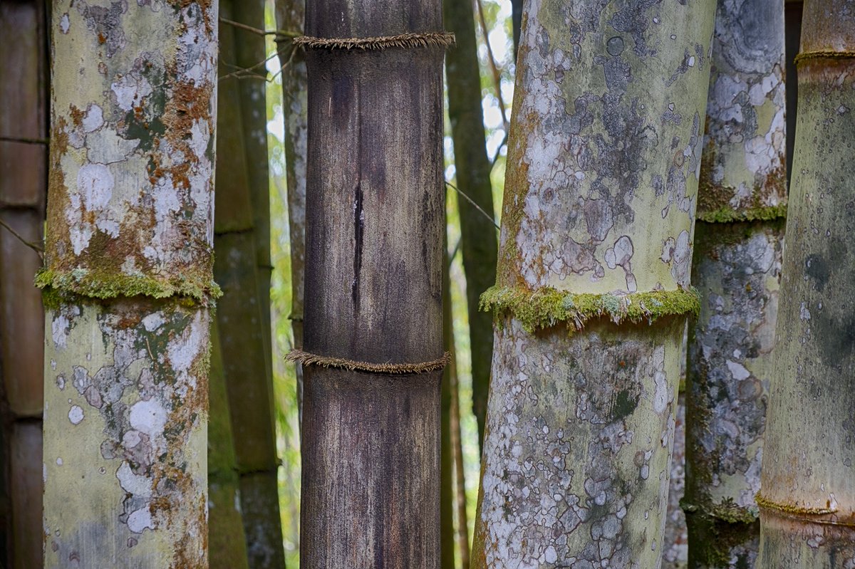 Point Photography tweet media