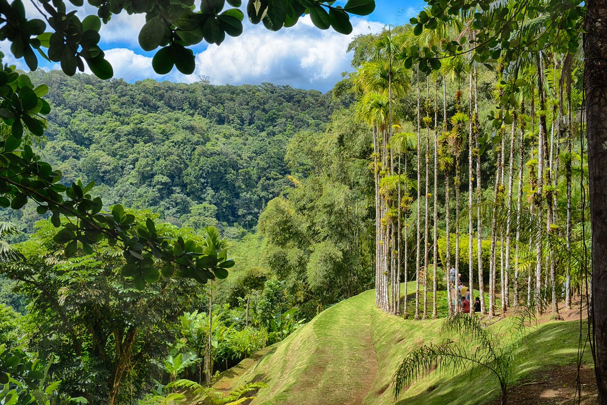 Point Photography tweet media