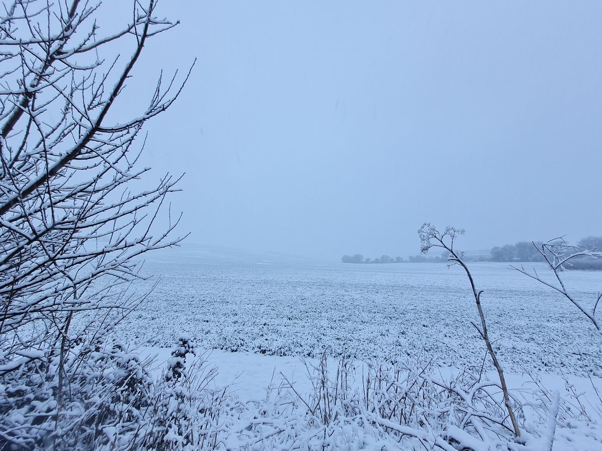 sound_scribble's tweet photo. From last week's snow kiss #Snowfall #prettynature #fileds https://t.co/bWWw5WavFG