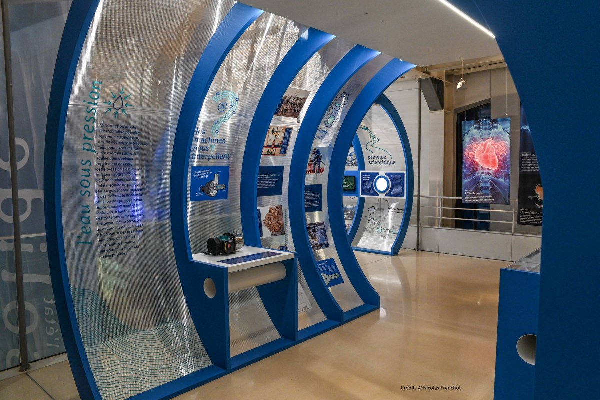 PSLExplore's tweet photo. #Exposition | Le chapitre sur l'𝗲𝗮𝘂 𝘀𝗼𝘂𝘀 𝗽𝗿𝗲𝘀𝘀𝗶𝗼𝗻 est illustré par de nombreux exemples de la vie quotidienne🚿⛽et tirés de la nature environnante 🫀🐋, mais aussi par des estampes anciennes des célèbres pompes de la Samaritaine (1608) et💦Notre Dame (1669). #SAPS https://t.co/dQrL44e8g8