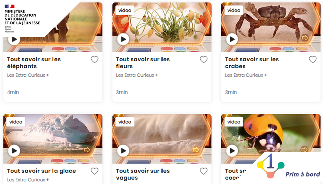 prim_edu_num's tweet photo. Cycle 2⃣ | Enseigner | #QuestionnerLeMonde

📌 Les extra Curieux +, un magazine pour en apprendre toujours plus sur notre planète terre

▶️ https://t.co/WPXyGB63pu

✅ La flore
✅ La faune
✅ Les vagues
✅ Le sable
✅ La glace... https://t.co/eiJ14xTrKz