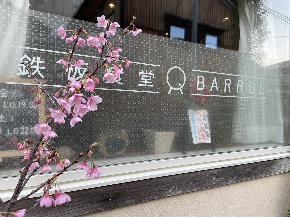 teppan_BARREL's tweet photo. happyホワイトデー！
本日は貸切営業となっております。

コース料理7〜8名様より
貸切のご相談も承りますので
ご相談ください！

当店の桜、すっかり満開につき
…2本目購入いたしました！笑
#鉄板食堂BARREL
#京都 #西院 #グルメ #居酒屋
#ディナー  #お好み焼き #鉄板焼き https://t.co/zfO7a6dM4h