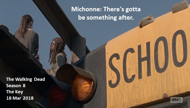 Doctor Double-Tap on Twitter: "Michonne: There's gotta be something