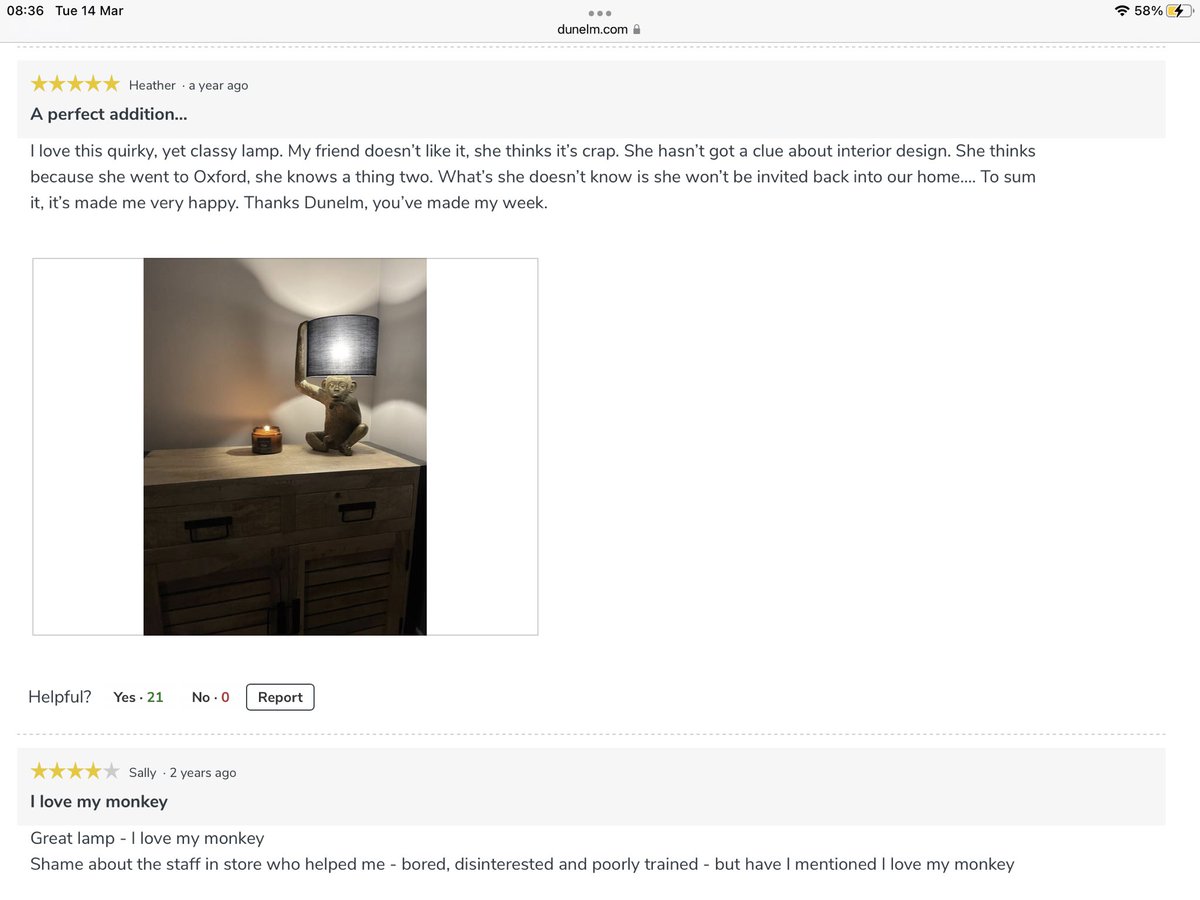 MsNottledim's tweet image. I love this lamp, but I love this review even more 😁 #Monkey #Dunelm
