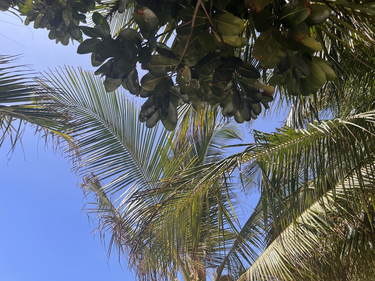 County 002, your beaches are serene.