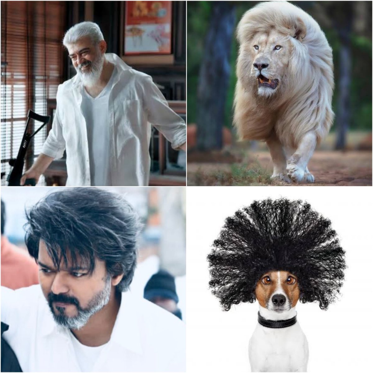 TrollywoodX's tweet photo. Close enough

#AK62 https://t.co/Vti2JuNr1M