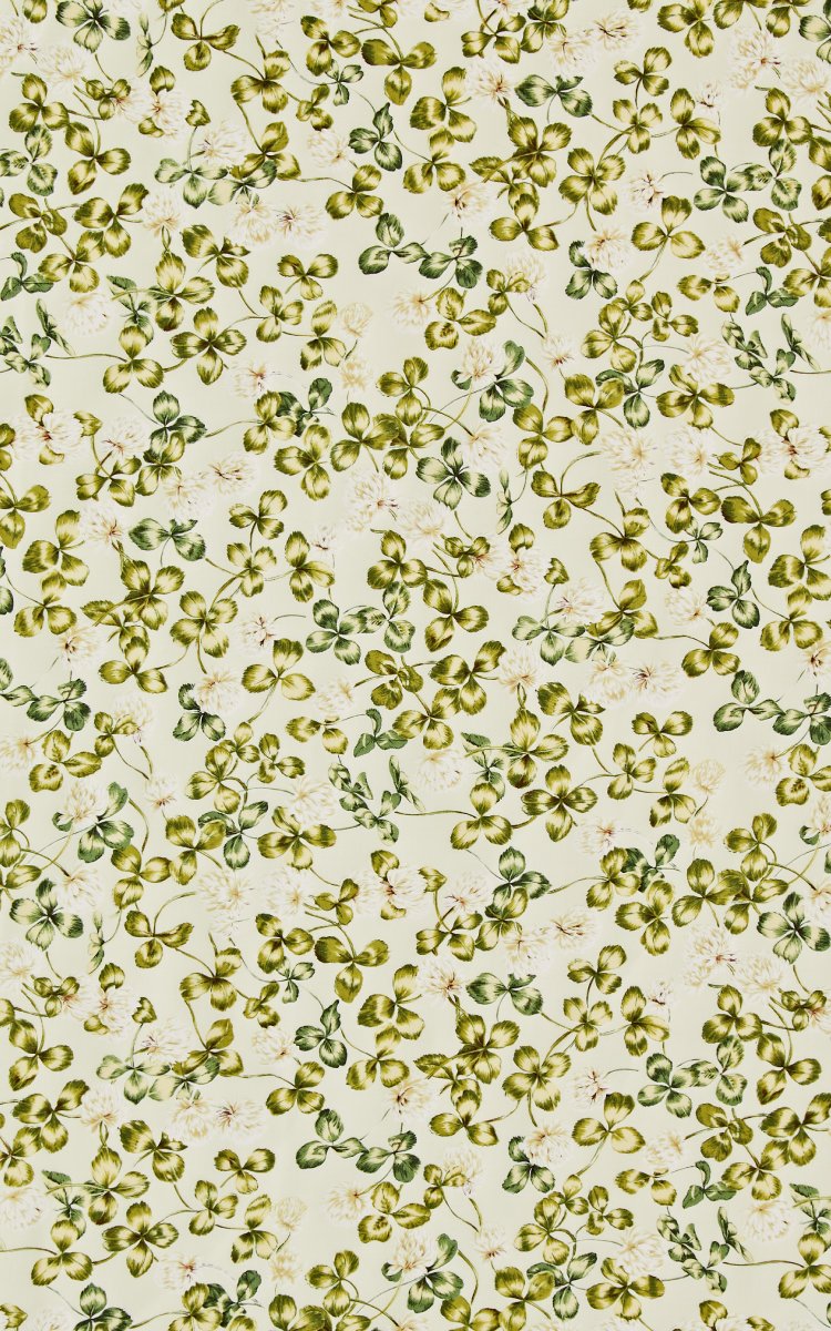 🍀𝗙𝗘𝗔𝗧𝗨𝗥𝗘 𝗣𝗔𝗚𝗘🍀