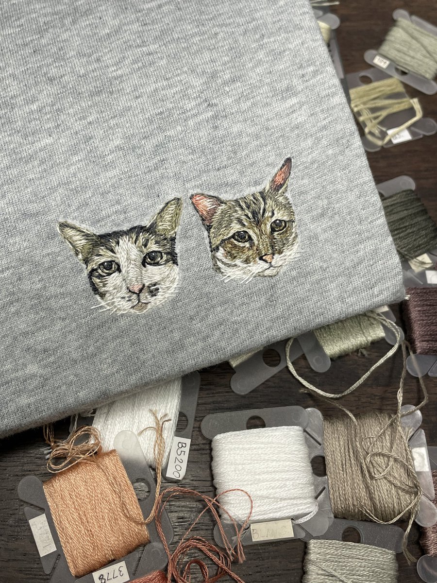 ดาริดา tweet media