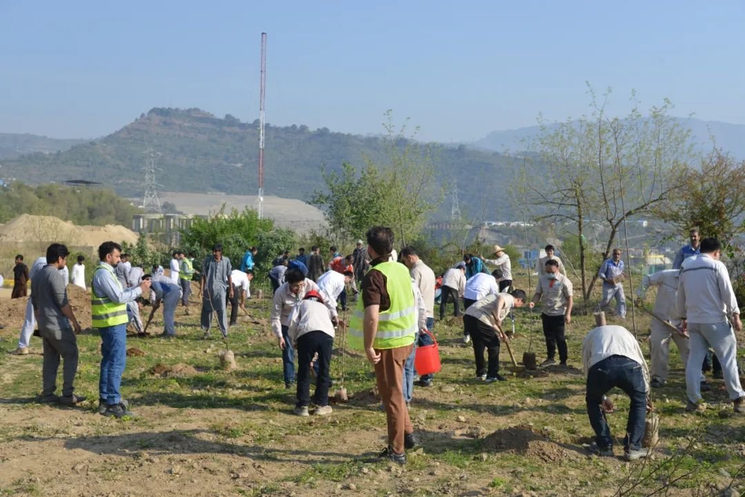 CTGI_2011's tweet photo. #SharedWorld #CSR
Recently, a🌱tree-planting activity was carried out around the 720 MW #karot HPP.👏
After digging holes, placing trees, cultivating the soil, and watering, 200 fruit trees were planted by CTGIers and local volunteers, bringing vitality to the land.🥳 https://t.co/zfCqerY55P