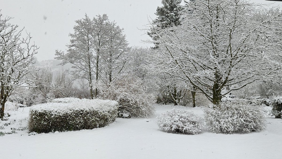 ColliesandCakes's tweet image. So over the #snowinmarch now
Got lots of stuff to catch up from last week, didn't need to wake up to this ❄️❄️
#angryatsnow #snow