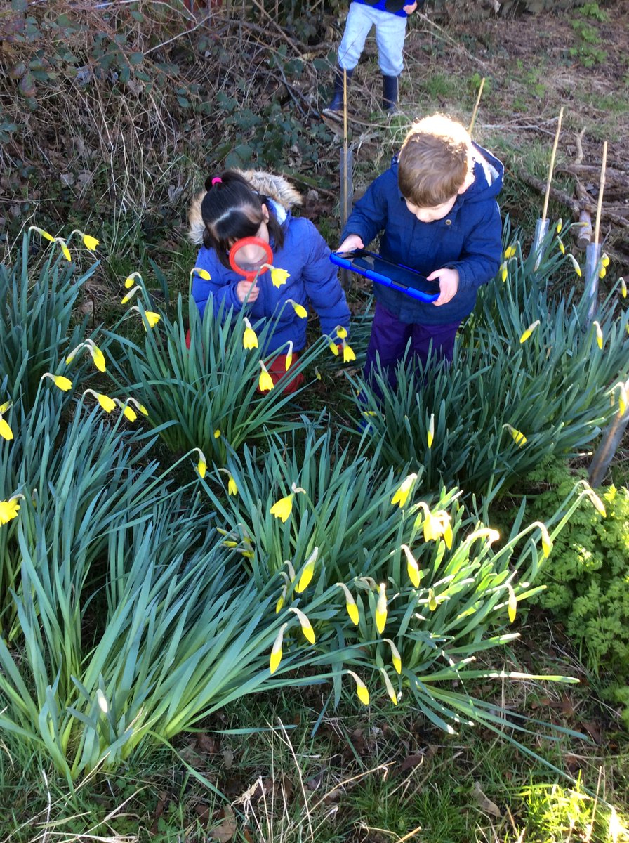 TPS1914's tweet photo. First Signs of Spring in Forest School last week. https://t.co/Ix5kafZVVj