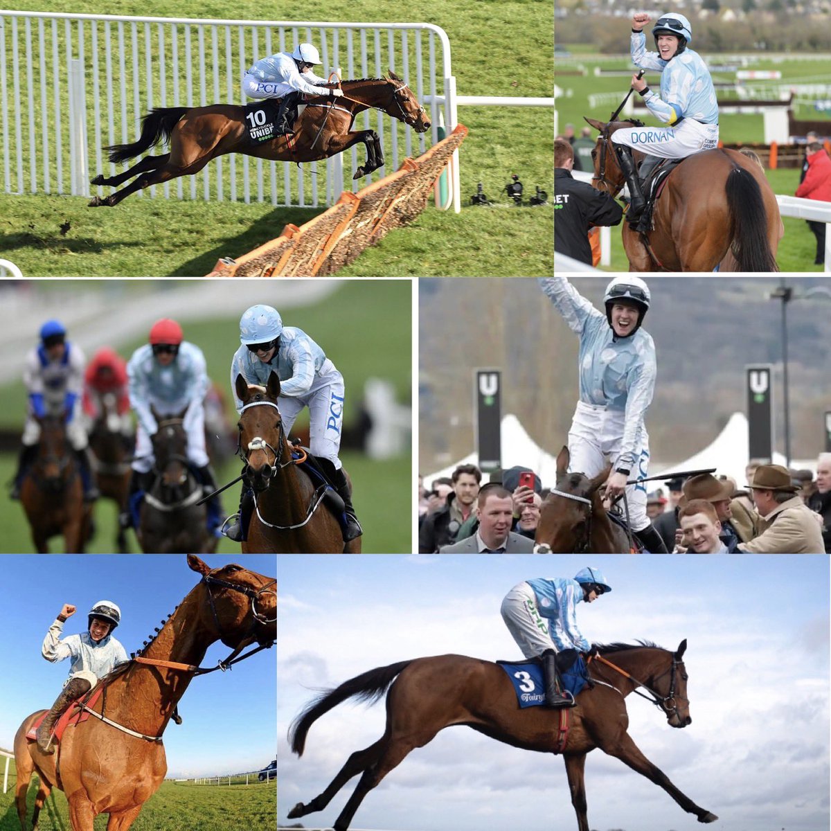 Pmolony1Peter's tweet image. Whatever happens today @CheltenhamRaces it has been an incredible 5 yrs 🤩🤩still hard to believe it isn’t all a dream @rachaelblackmor @HenrydeBromhead @Fairyhouse @thurlesraces @LeopardstownRC @punchestownrace @smolony @KateMolony2 #teamhoneysuckle 🏇🏇🏇🤞🤞🤞💪💪💪⭐️⭐️