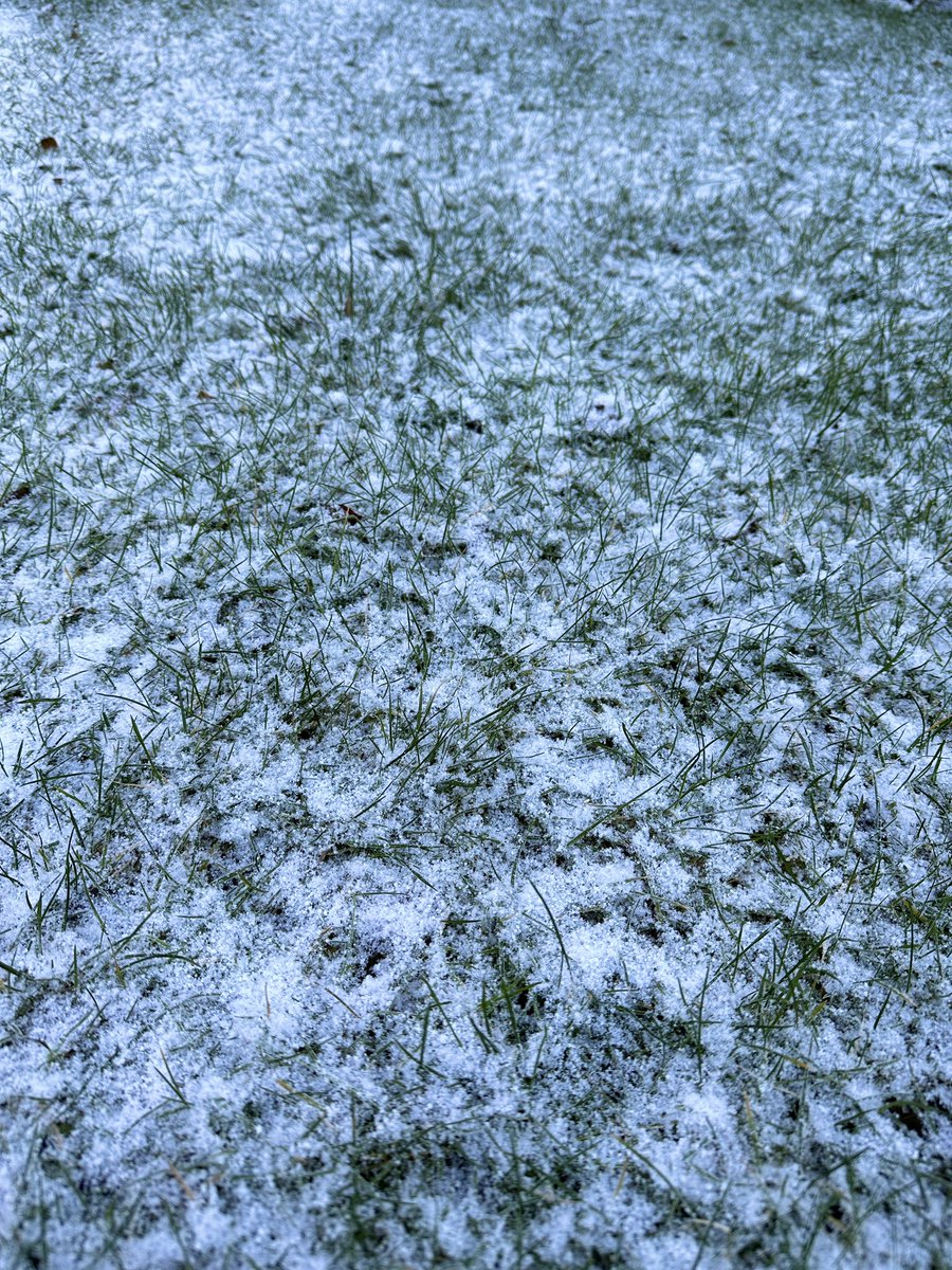 🙄 ☕️ he waits, that’s what he does. Tick follows tock, follows tick follows tock. 🕰️