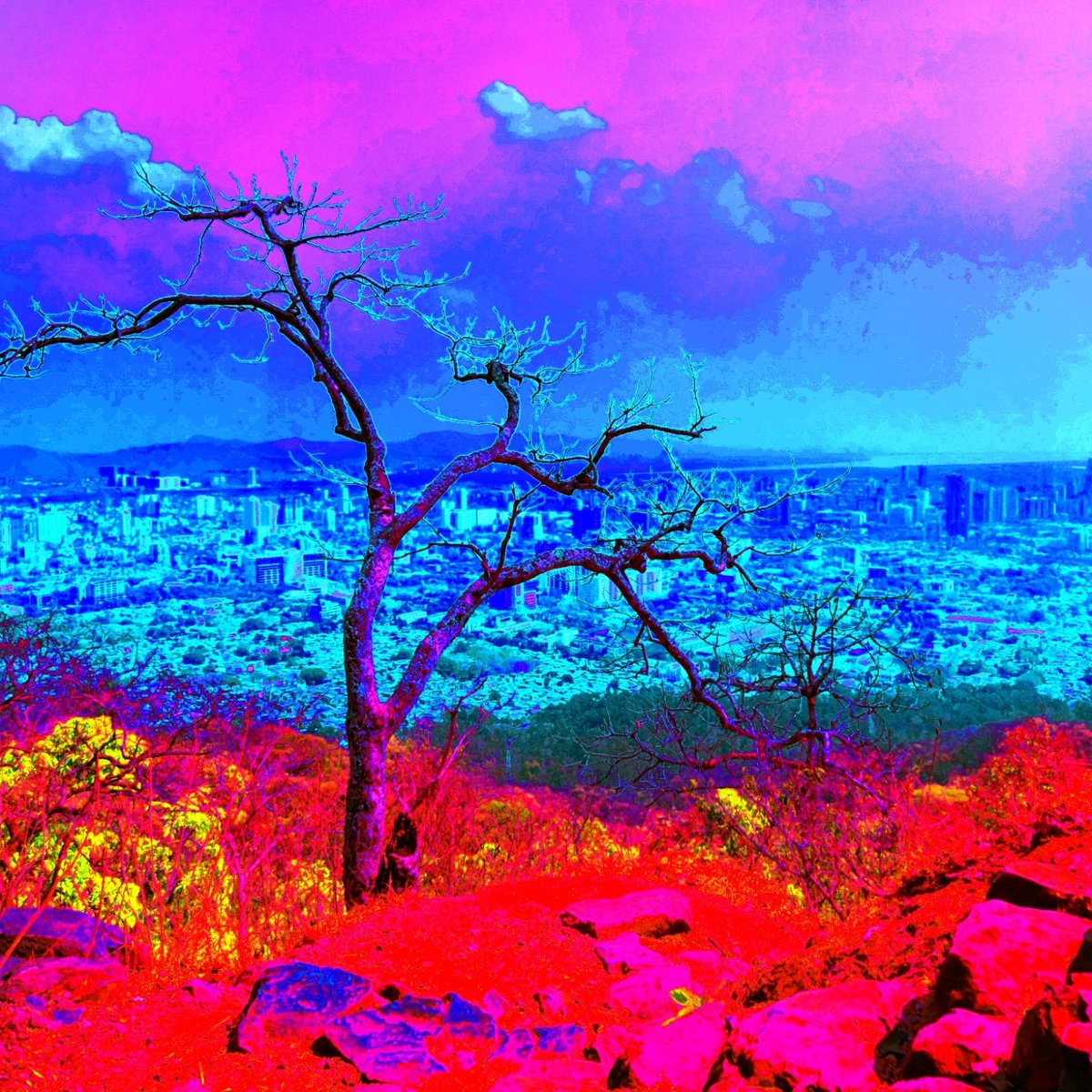 habibixyz | iMGYNARYART tweet media