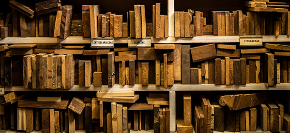 In March, the following #timber training courses still have space available:
•Eurocode 5: Essentials 22 March (Online via Teams)
•Timber Frame Construction 28 March
Visit our website to learn more ow.ly/CiUq50N0jVt