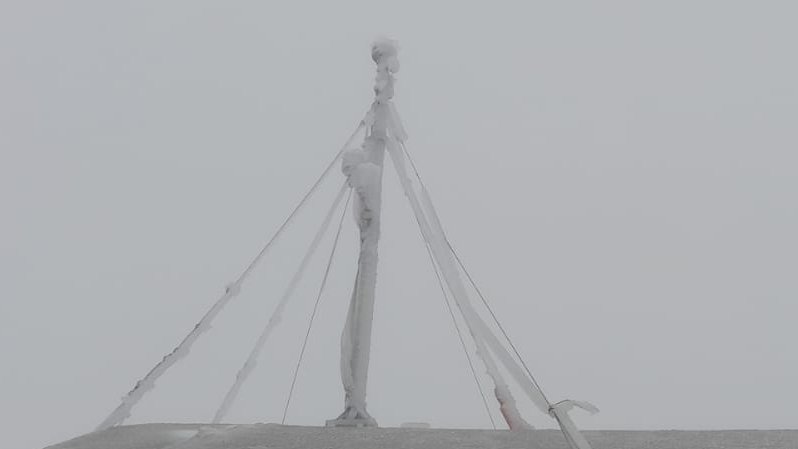 Luis Durán tweet media