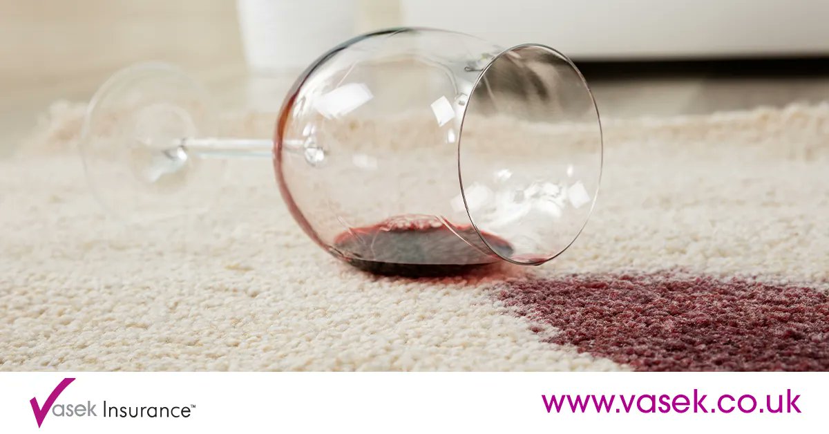 Vasek Insurance tweet media