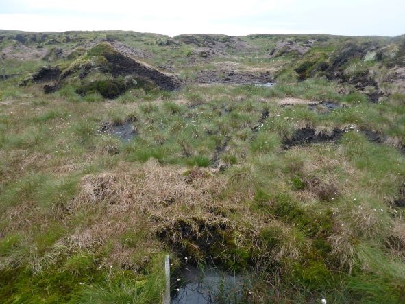 We are delighted to announce our innovative project with the @NorthPennAONB & @ypp_peat to work in partnership to support the #GreatNorthBog peatland. 

We continue to demonstrate our commitment to supporting and restoring biodiversity to deliver a lasting legacy. #climatecrisis