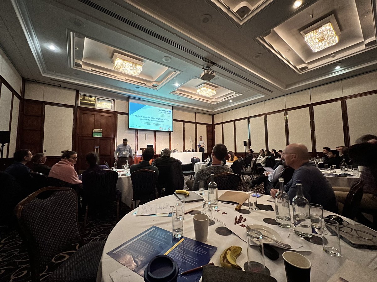 Iain Turner tweet media