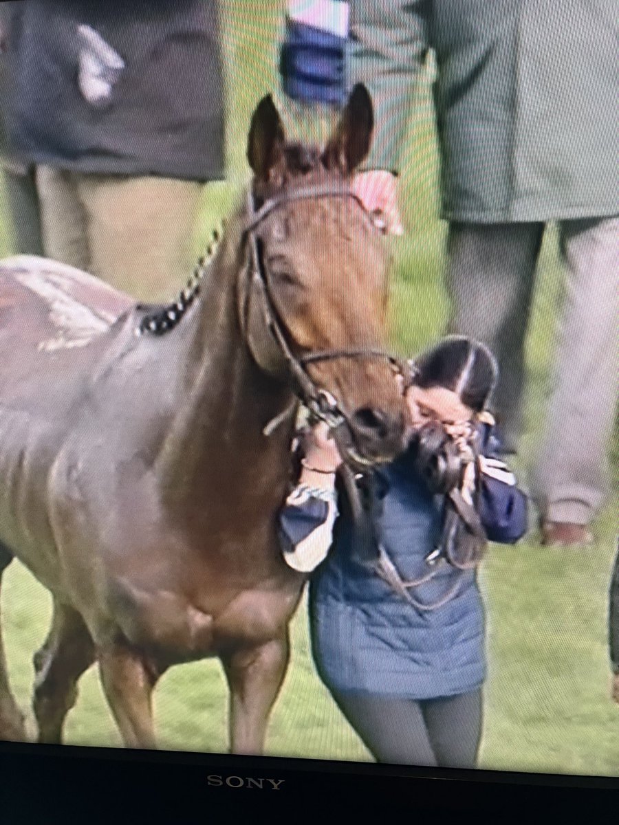 tonymullins84's tweet photo. Dysart Dynamo’s groom Janna Walsh wipes away tears as they return to the stable yard safe and sound 👏👏👏 https://t.co/m0PWUrCpar