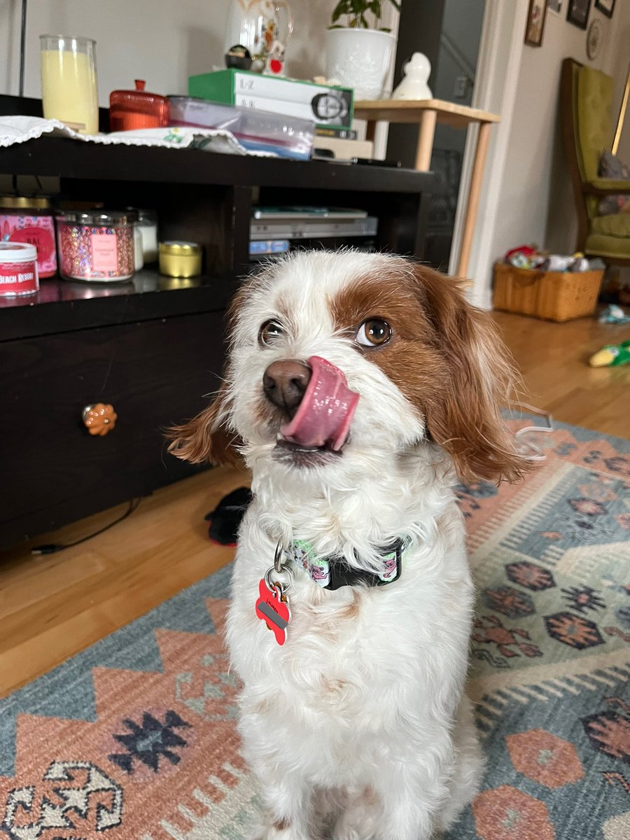 lauren☻ tweet media